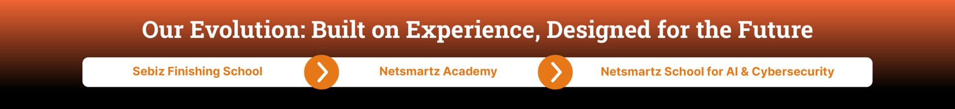 Netsmartz Academy Timeline